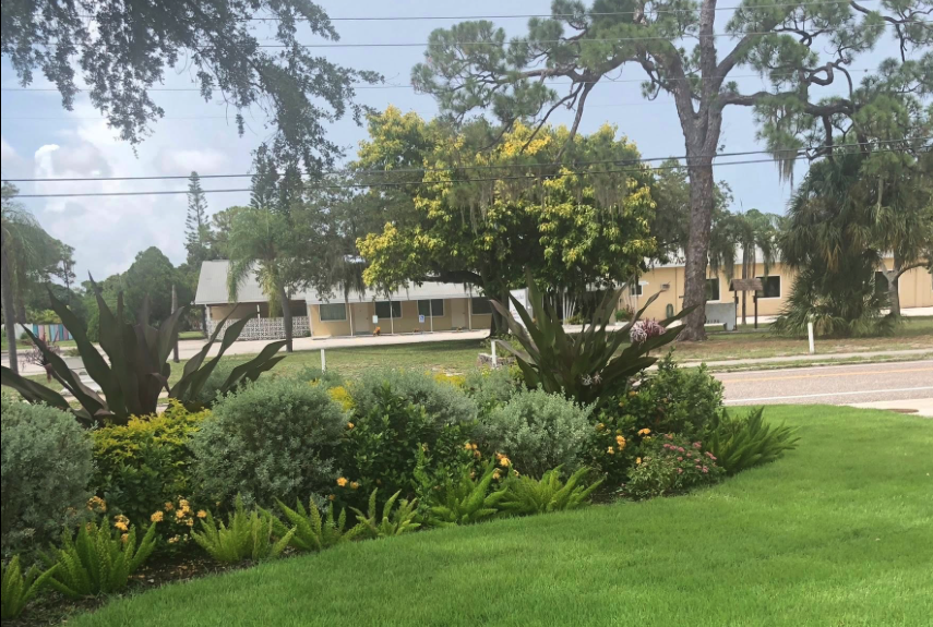 Clean landscape bed install