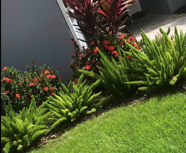 Tropical planting detail